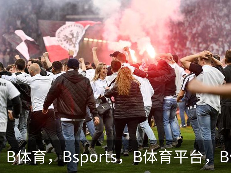 B体育，Bsports，B体育平台，B体育下载品牌故事